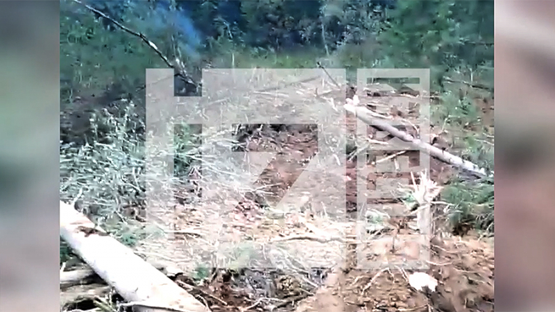 Опубликовано видео с места крушения Су-24 под Пермью