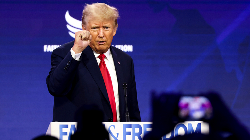 Американский политолог предрек Европе катастрофу в случае переизбрания Трампа