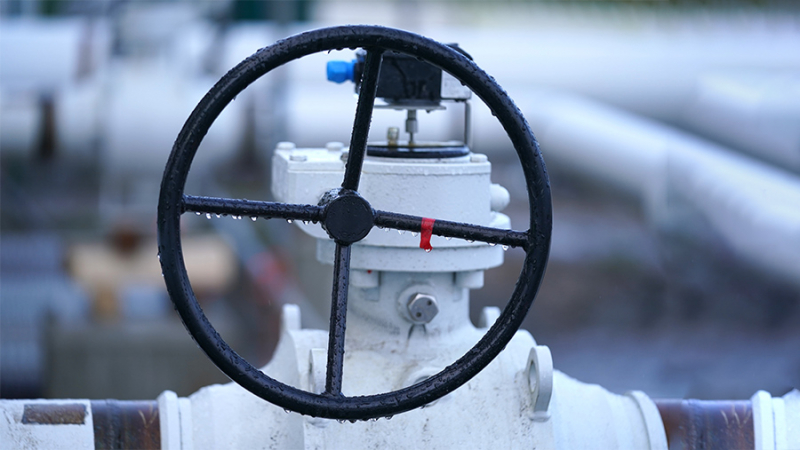 В Финляндии озвучили сроки возобновления работы газопровода в Эстонию