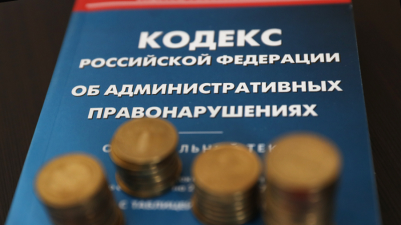 Двух несовершеннолетних членов азербайджанской группировки выдворят из РФ