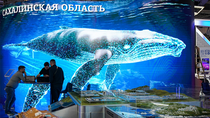 На выставке «Россия» покажут свои достижения 89 регионов