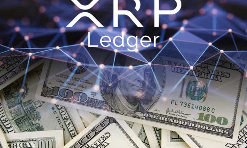 XRP Ledger запустил DEX для регулируемых организаций